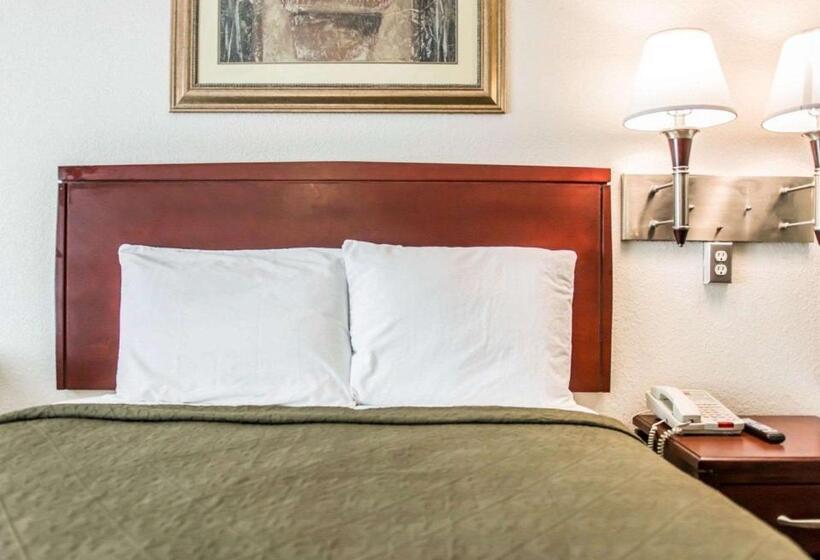 חדר סטנדרט עם מיטת קינג, Econo Lodge