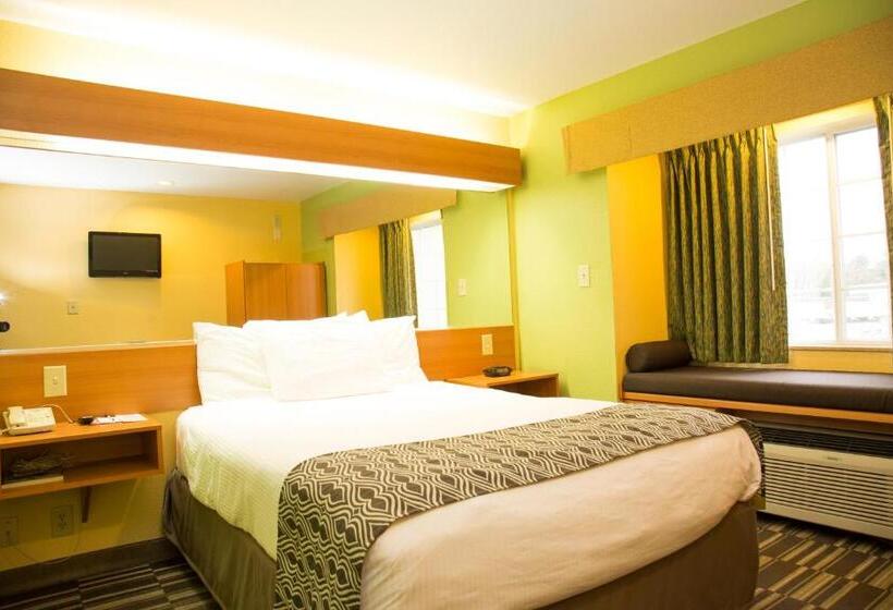 适合残疾人使用的标准间, Microtel Inn & Suites By Wyndham Panama City