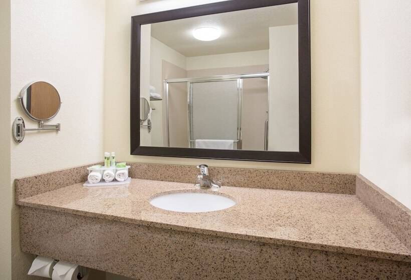 Люкс, Holiday Inn Express & Suites Truth Or Consequences, An Ihg