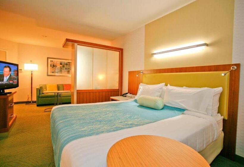 스탠다드 룸 킹사이즈 침대, Springhill Suites Temecula Valley Wine Country