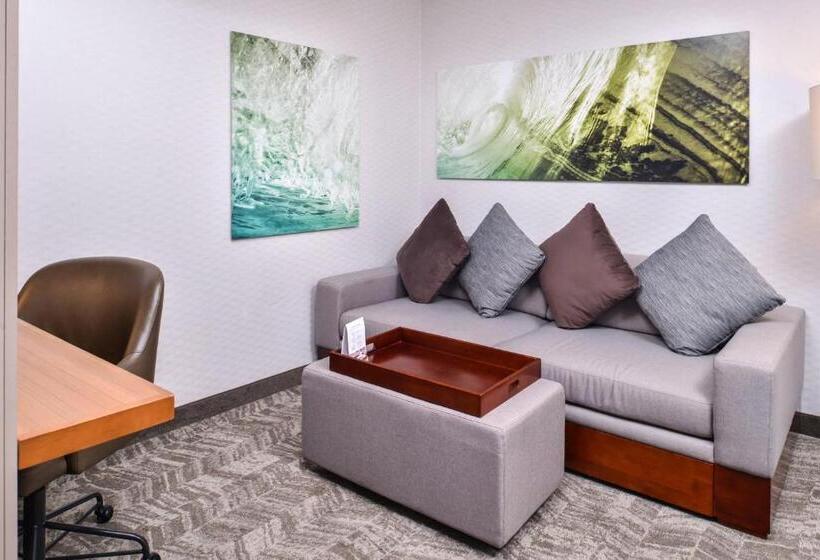 스탠다드 룸 킹사이즈 침대, Springhill Suites Temecula Valley Wine Country