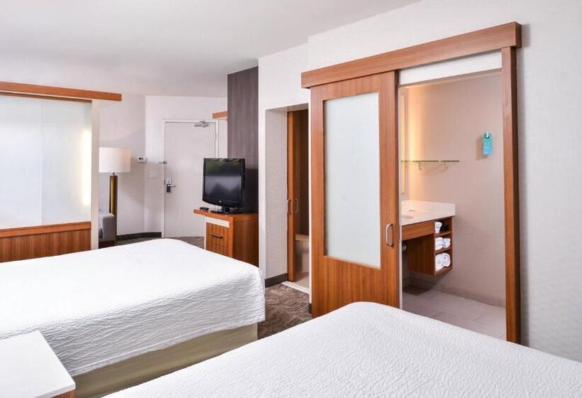 스탠다드 룸 더블 침대 2개, Springhill Suites Temecula Valley Wine Country