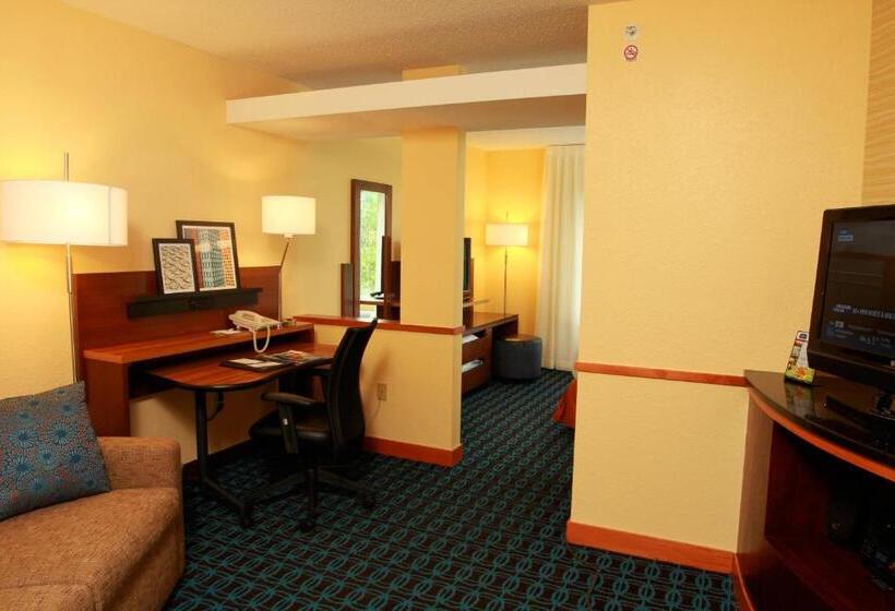 Suite King Size Seng, Fairfield Inn & Suites Traverse City