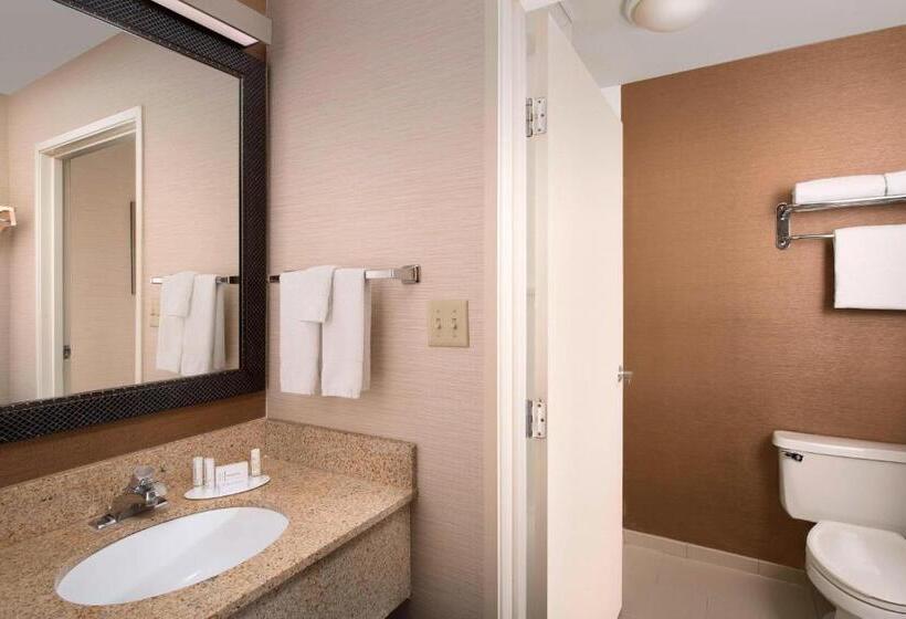 障害者適応デラックスルーム, Fairfield Inn & Suites By Marriott Albuquerque Airport