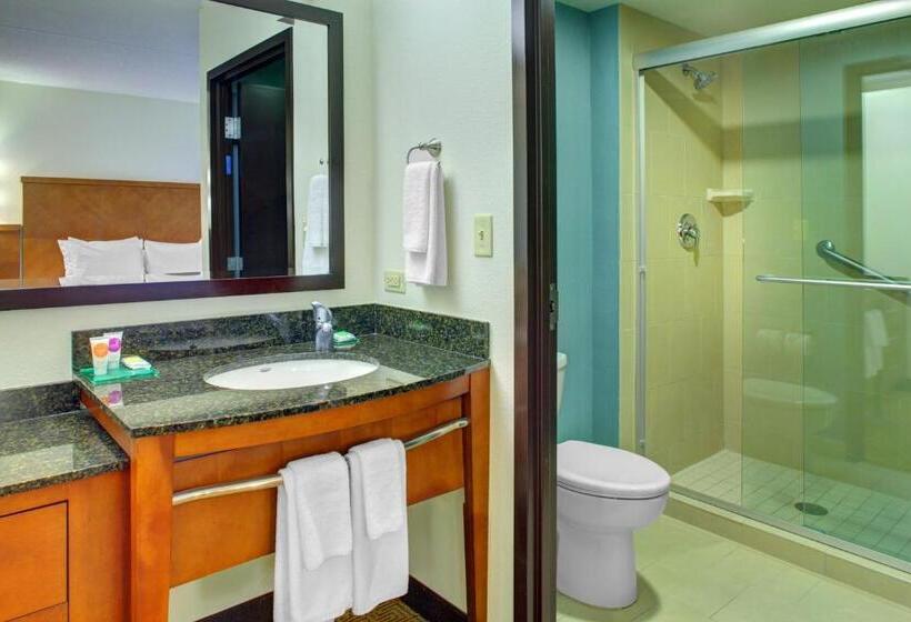 Номер Стандарт Адаптированный для Инвалидов, Hyatt Place Baltimore Owings Mills