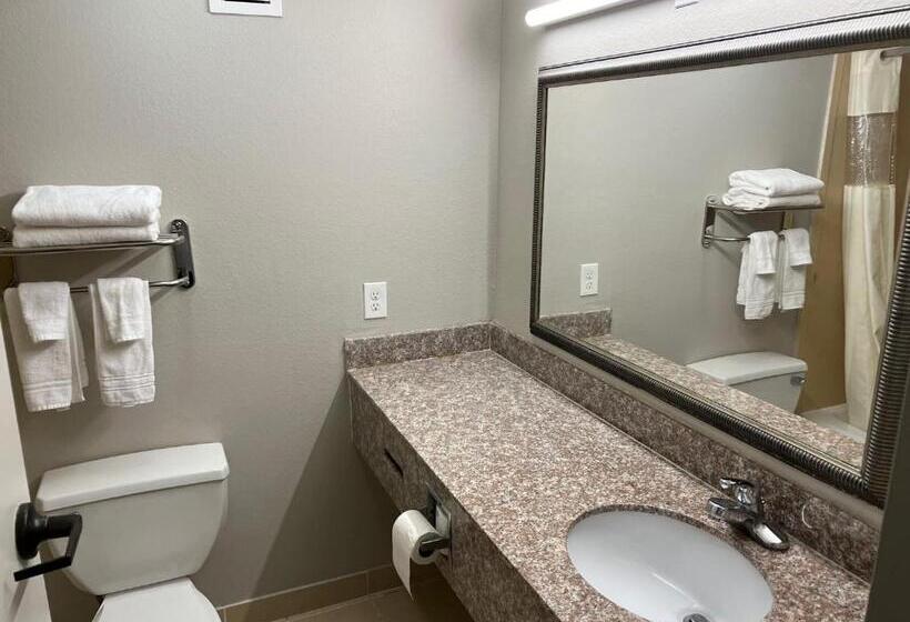 스탠다드 룸 킹사이즈 침대, Days Inn By Wyndham Laplace New Orleans