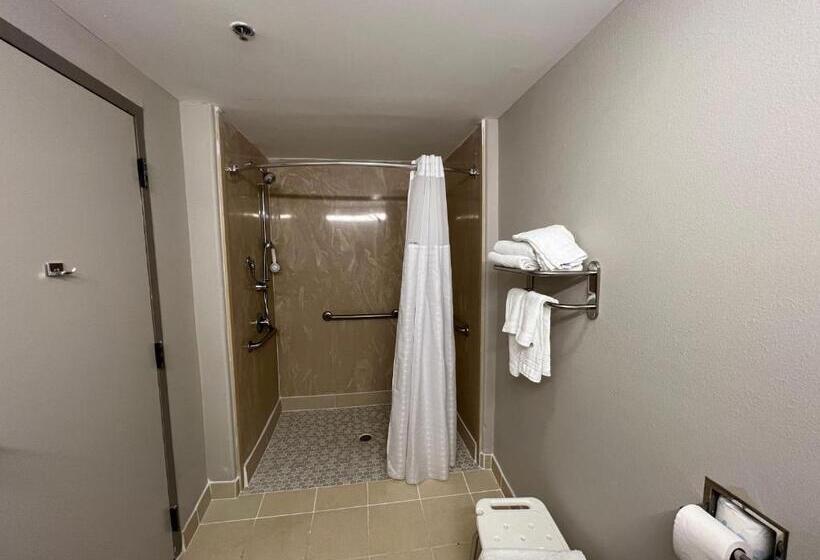 장애인을 위한 킹사이즈 침대 스탠다드 룸, Days Inn By Wyndham Laplace New Orleans