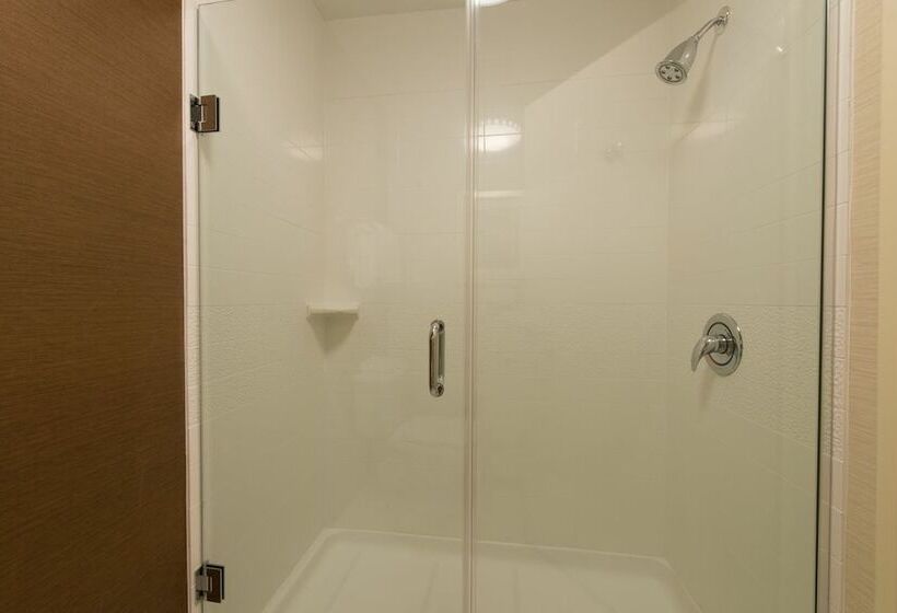 套房, Fairfield Inn & Suites Dallas Lewisville