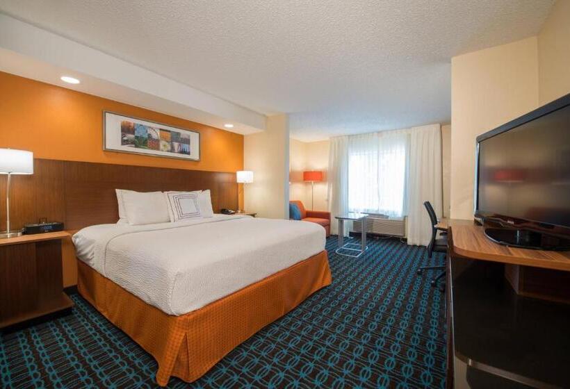 带大床的套房, Fairfield Inn & Suites Dallas Lewisville