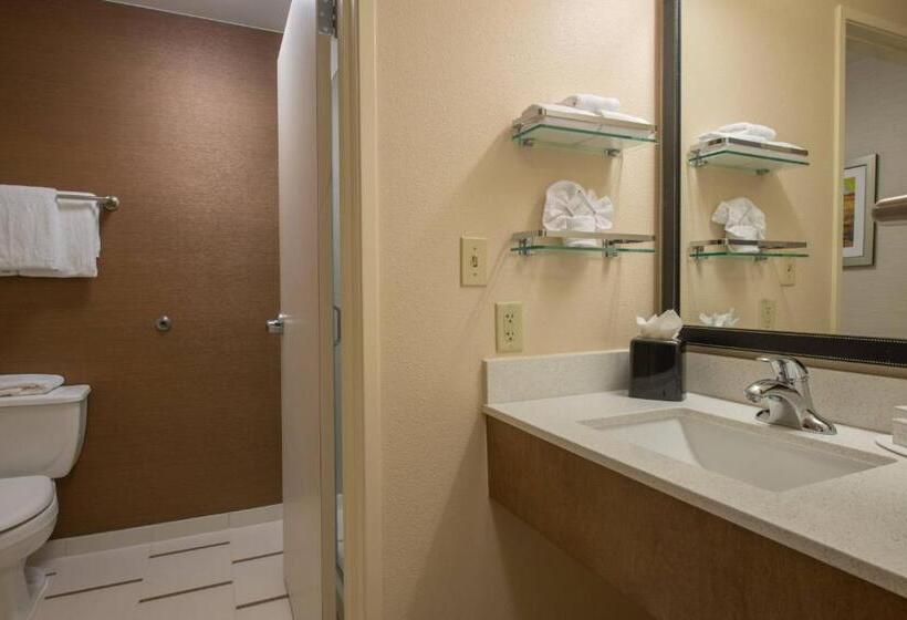 套房, Fairfield Inn & Suites Dallas Lewisville