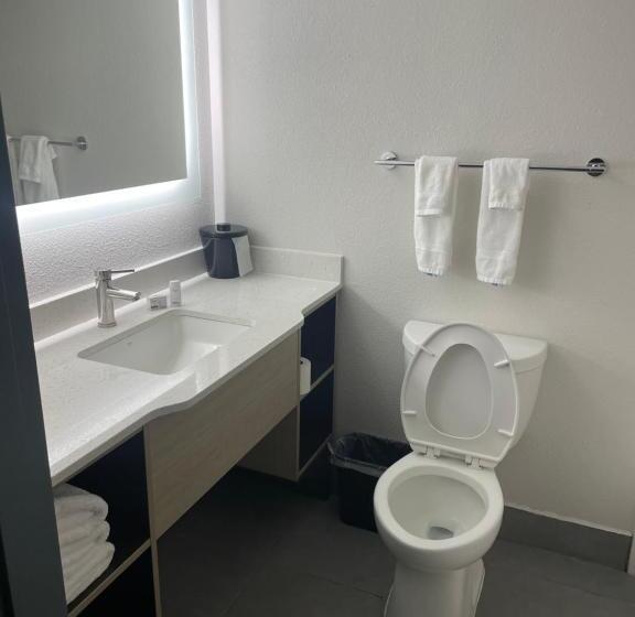 Стандартный Номер Кровать Кинг, Wingate By Wyndham Savannah Gateway
