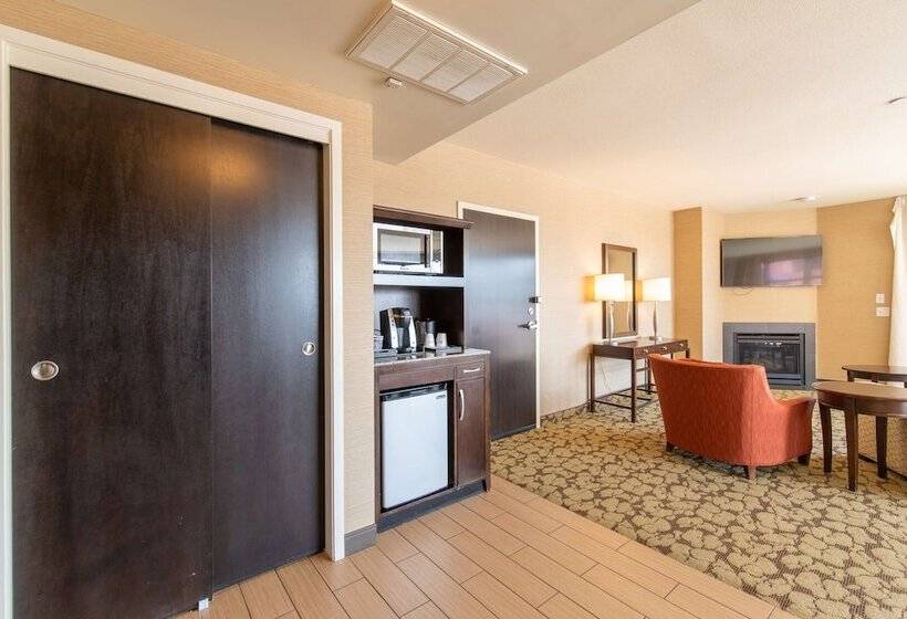 Полулюкс, Hilton Garden Inn Ogden Ut