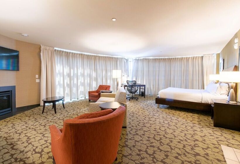 Полулюкс, Hilton Garden Inn Ogden Ut