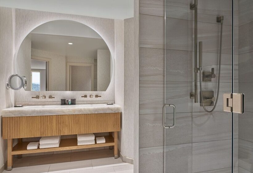 Люкс Премиум, Viewline Resort Snowmass, Autograph Collection