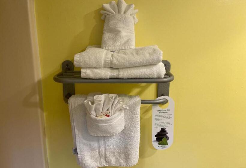 Номер Deluxe, Magnolia Inn Kingsland
