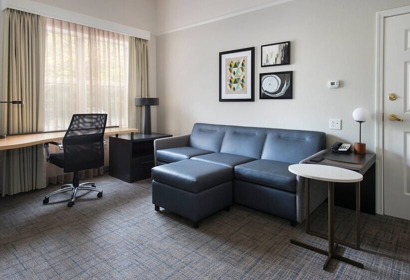 스위트, Residence Inn Silver Spring