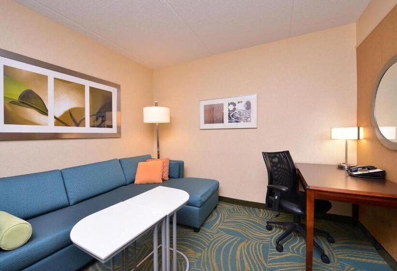 Студио Стандарт Кровать Кинг, Springhill Suites Arundel Mills Bwi Airport