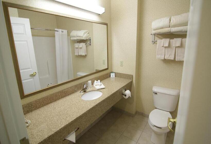 스탠다드 룸, Town & Country Inn And Suites