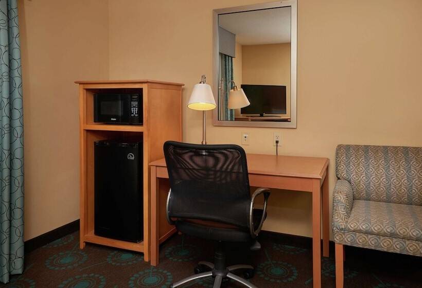 اتاق استاندارد با تخت بزرگ, Hampton Inn & Suites Canton