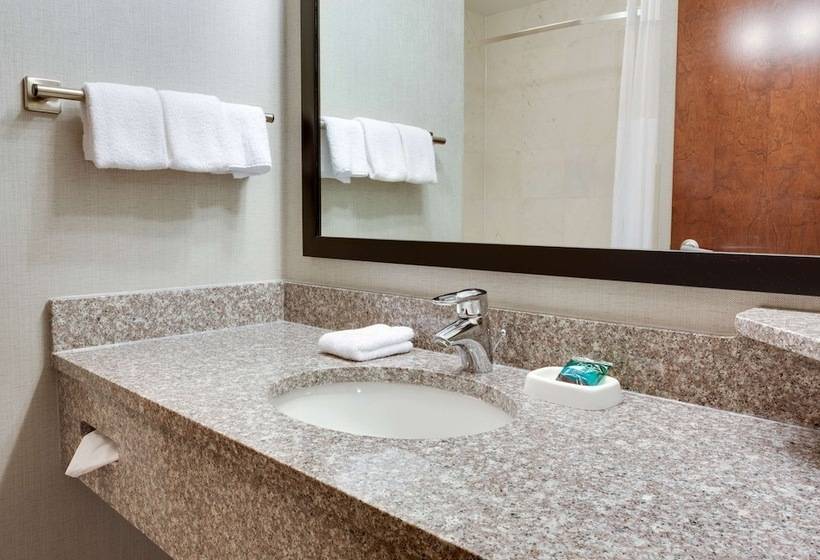 Люкс Адаптированный для Инвалидов, Drury Inn & Suites Middletown Franklin