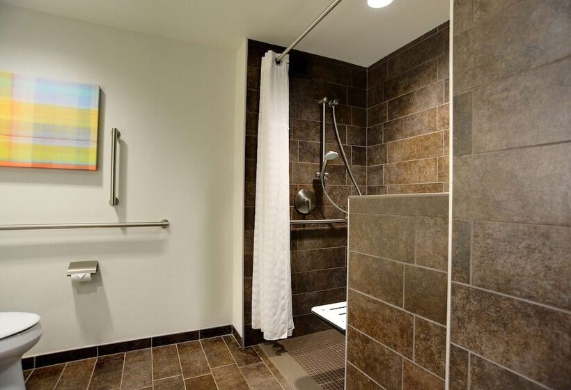Номер Стандарт Кровать Кинг Адаптированный для Инвалидов, Hilton Columbus Downtown