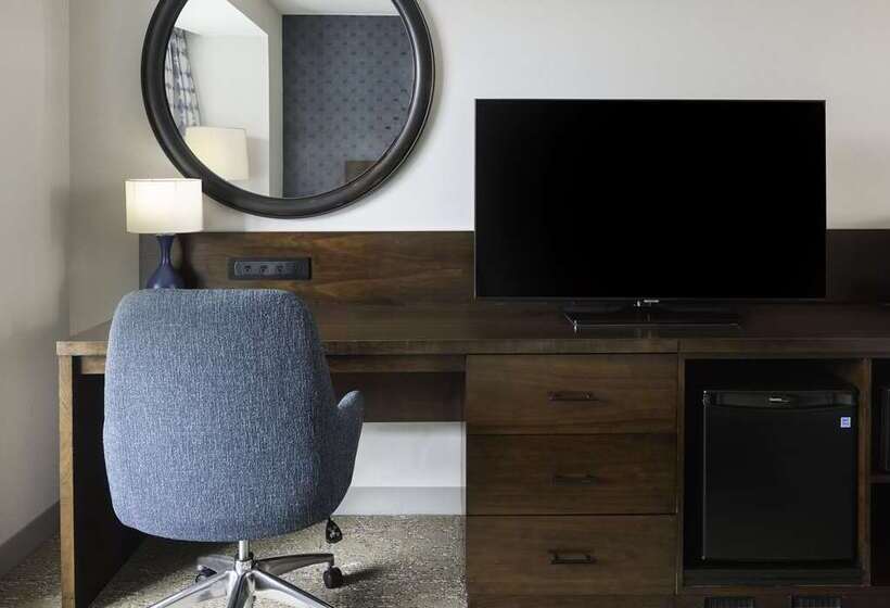 Номер Стандарт Кровать Кинг Адаптированный для Инвалидов, Hilton Columbus Downtown