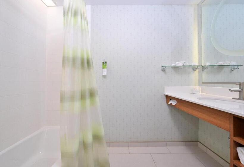 스탠다드 스튜디오, Springhill Suites Kingman Route 66