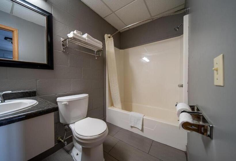 Стандартный Номер Кровать Кинг, Sleep Ees Inn, Saginaw & Shields