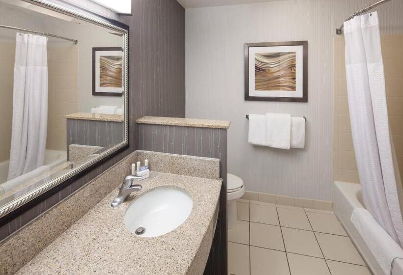 Номер Стандарт Кровать Кинг Адаптированный для Инвалидов, Courtyard By Marriott Birmingham Trussville