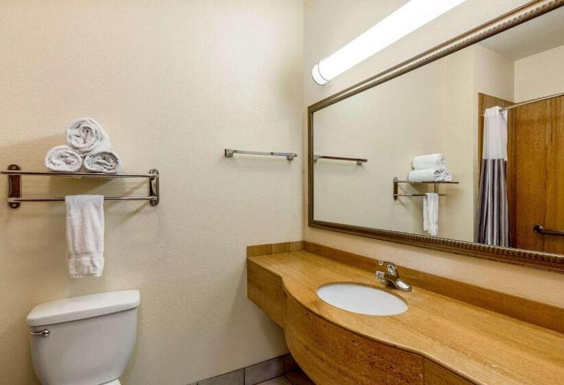 Номер Executive Кровать Кинг, La Quinta By Wyndham Dodge City