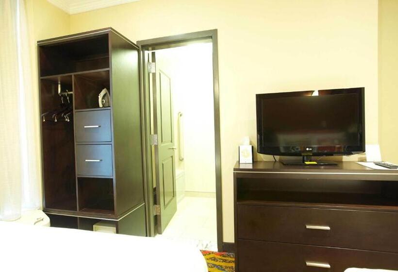اتاق استاندارد, Nesva Hotel   New York City Vista
