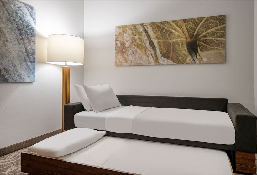 Люкс, Springhill Suites Terre Haute