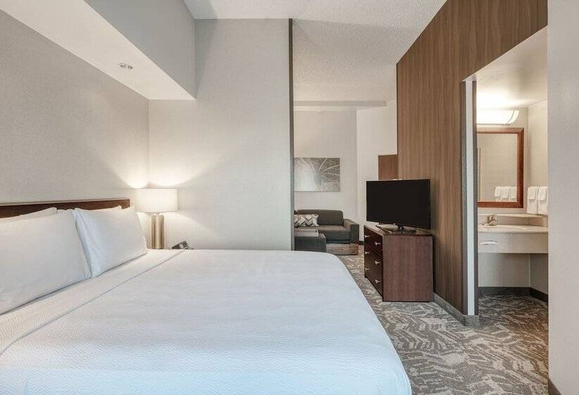 Люкс, Springhill Suites Terre Haute