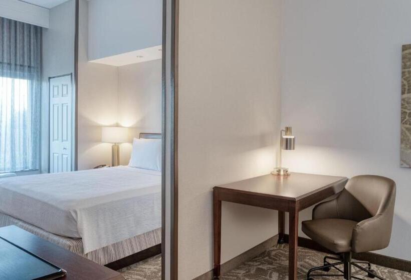 Люкс Кровать Кинг, Springhill Suites Terre Haute