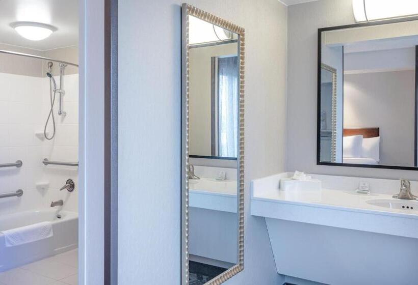 Люкс, Springhill Suites Terre Haute