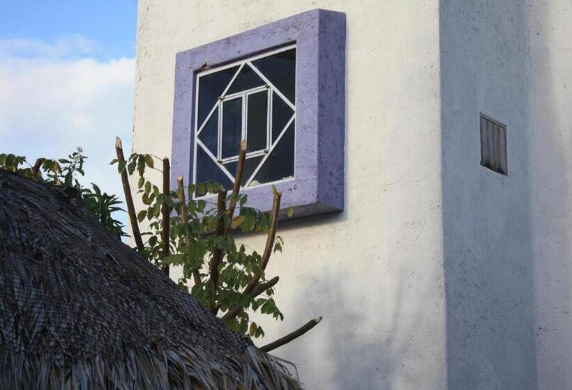 Bungalow Superior, Amaranto Bed And Breakfast