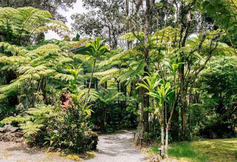 Номер Стандарт, Kilauea Lodge And Restaurant