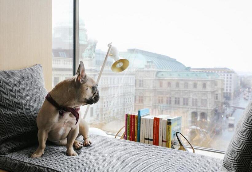 디럭스 룸, The Guesthouse Vienna