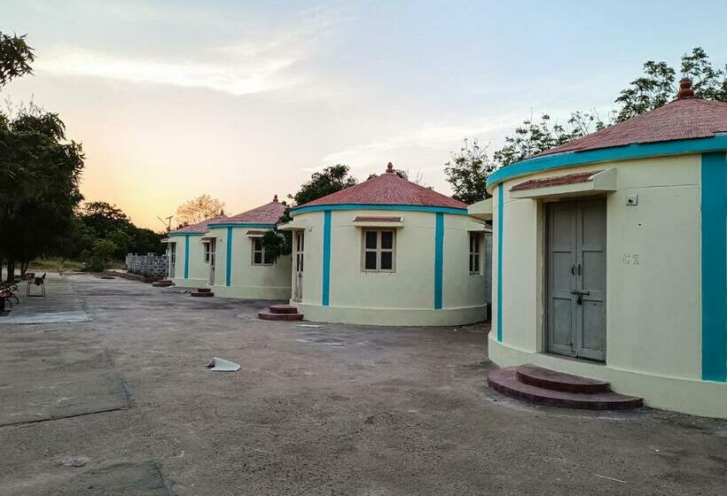 豪华房间, Rann Of Kachchh