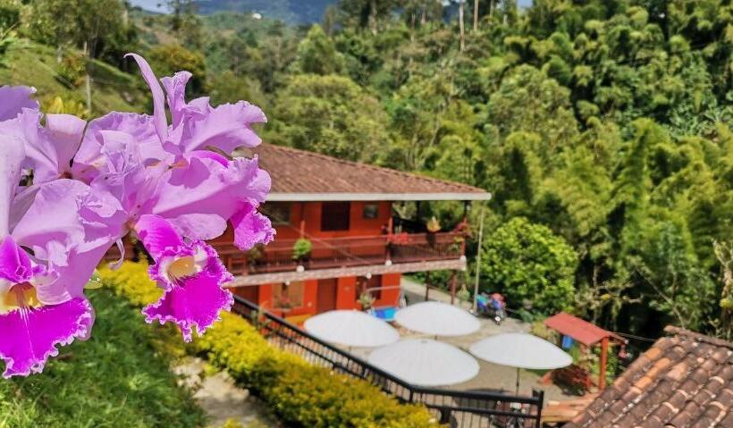 小室, Orillas Del Pizano