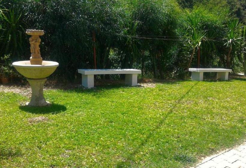 اتاق استاندارد چهار تخته, Michelangelo S House