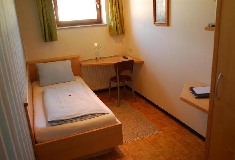 Одноместный Номер Basic, Bärnthaler Hotel Garni