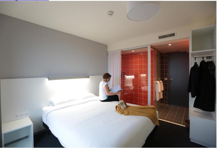 Номер Стандарт Индивидуальный, Le Nex Hotel Tarbes 