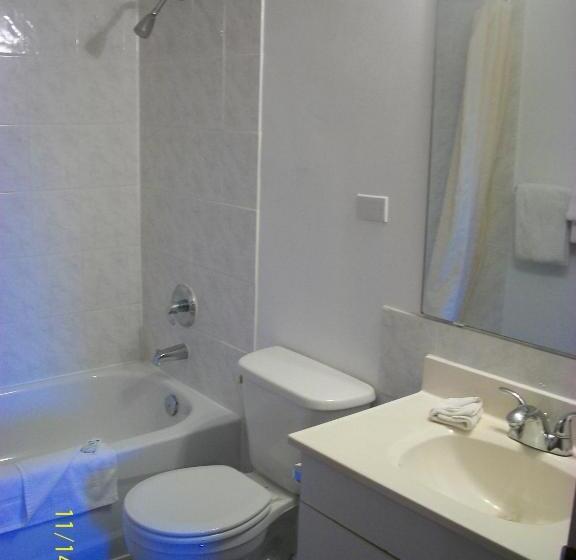 Номер Стандарт, Schell Motel Express