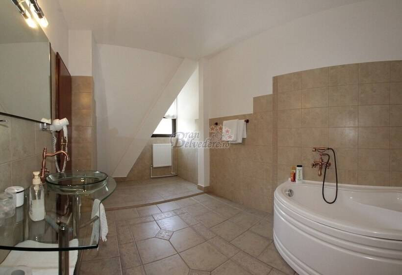 اتاق استاندارد با چشم‌انداز کوهستان, Bran Belvedere International
