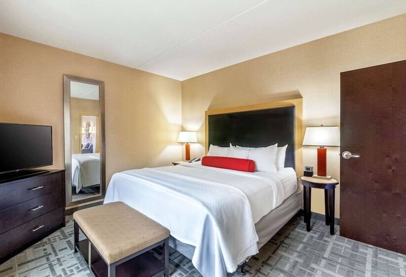 Engelliler için Süit, Cambria Hotel Pittsburgh   Downtown