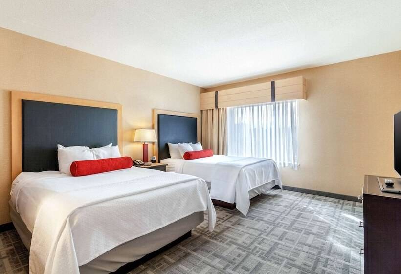 Süit, Cambria Hotel Pittsburgh   Downtown