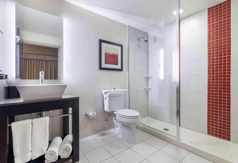 Büyük Çift Kişilik Yataklı Standart Oda, Cambria Hotel Pittsburgh   Downtown