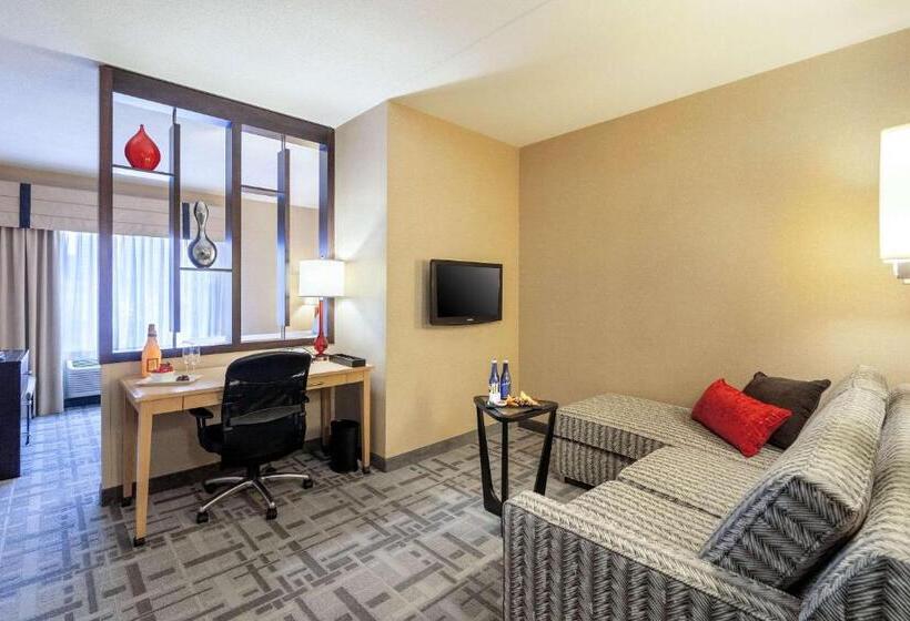 Büyük Çift Kişilik Yataklı Standart Oda, Cambria Hotel Pittsburgh   Downtown
