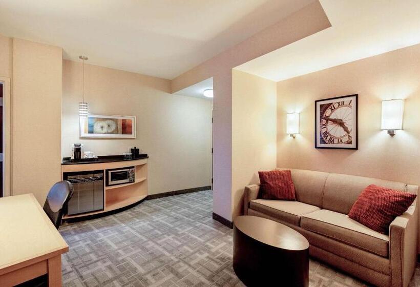 Büyük Çift Kişilik Yataklı Standart Oda, Cambria Hotel Pittsburgh   Downtown